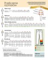 portwest-tabela-rozmiarow.jpg